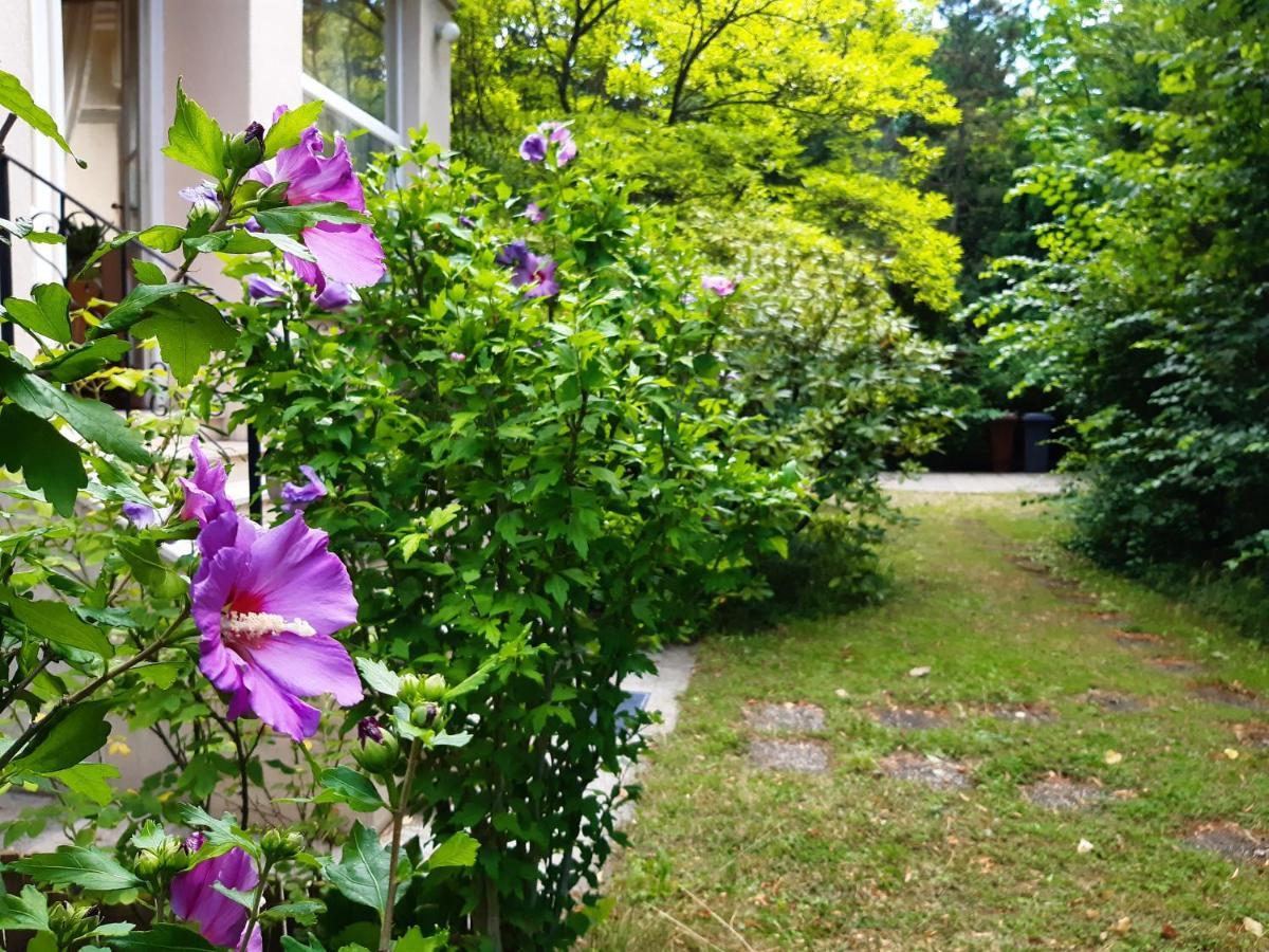 Pension Villa Inge Baden Ngoại thất bức ảnh
